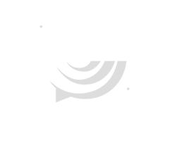 The Duane Davis Foundation